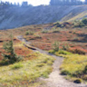 Meet your Posher, Carolyn